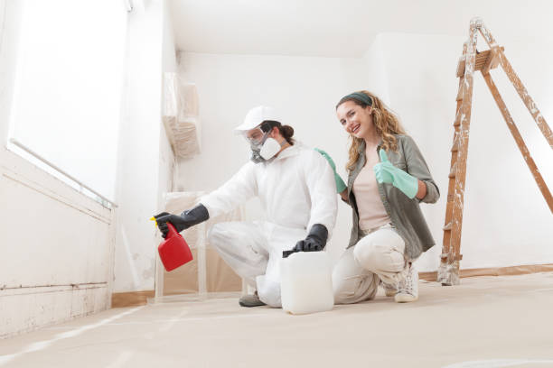 Best Basement Mold Removal  in Moriarty, NM