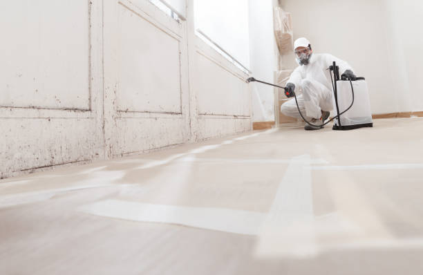 Best Biohazard Mold Removal  in Moriarty, NM